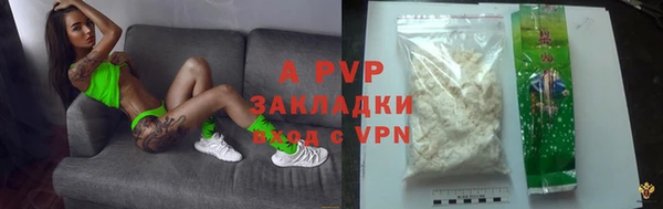 ECSTASY Алзамай