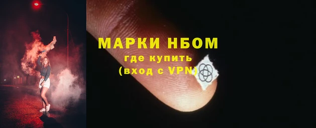 ECSTASY Алзамай