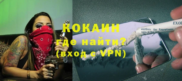 стафф Алексин