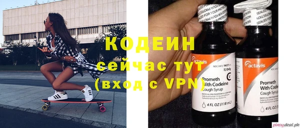 ECSTASY Алзамай