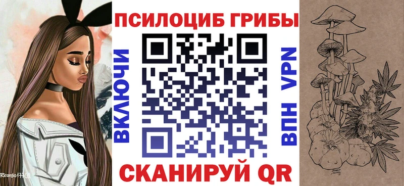 KRAKEN ТОР  Жуков  Галлюциногенные грибы Magic Shrooms  наркота 